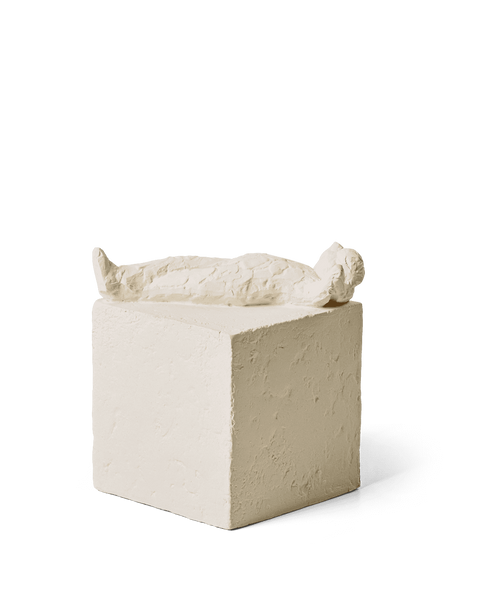 Astro - vissen - Pisces