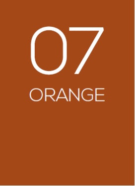 The Visitor small - door Guido Deleu