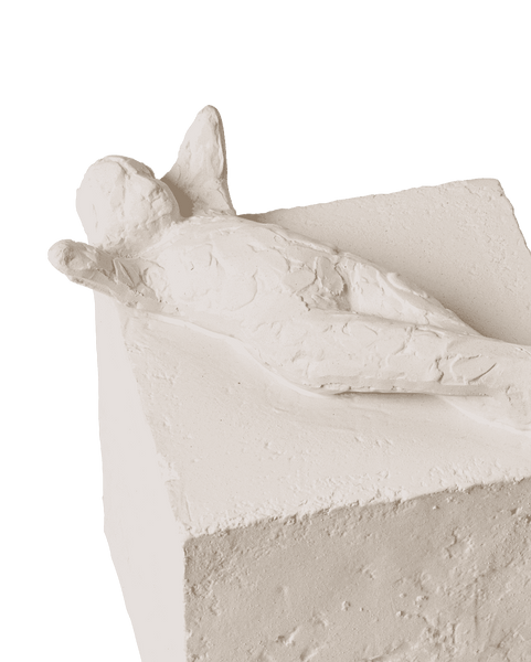 Astro - vissen - Pisces