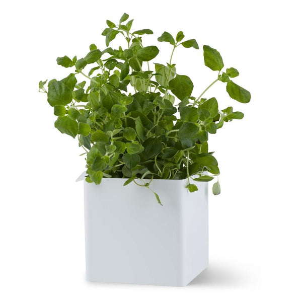 Flex box small - wit