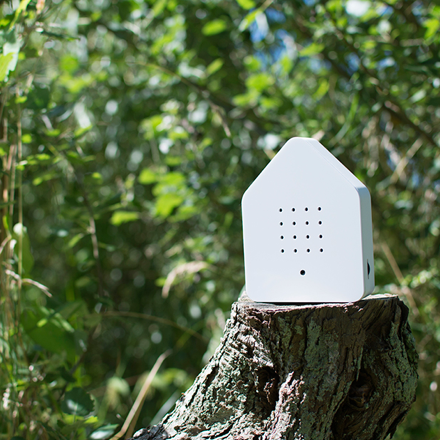 Zwitscherbox - tsjirpende vogel geluidsbox - WIT