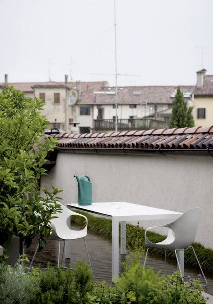 Stoel - Elephant chair