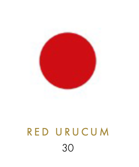 The Visitor small - door Guido Deleu