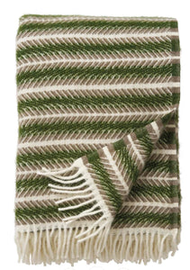 Plaid - oscar - multi green