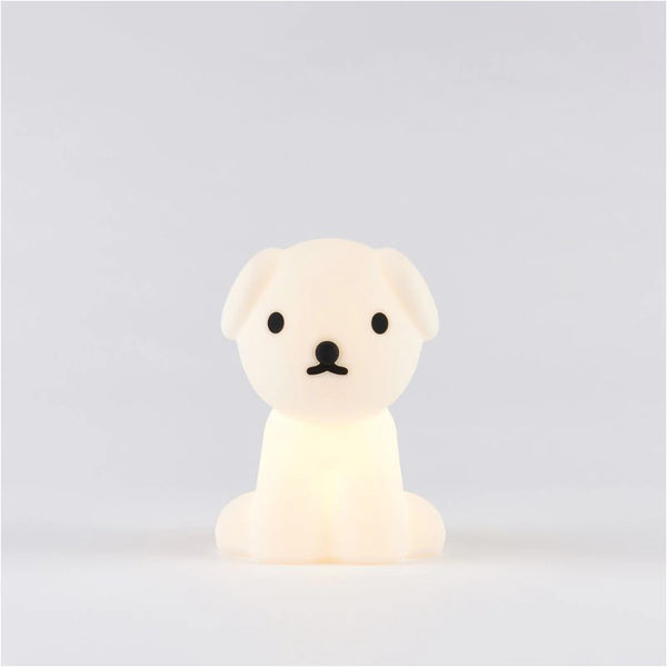 Nachtlampje - Snuffy mini, bundle of light