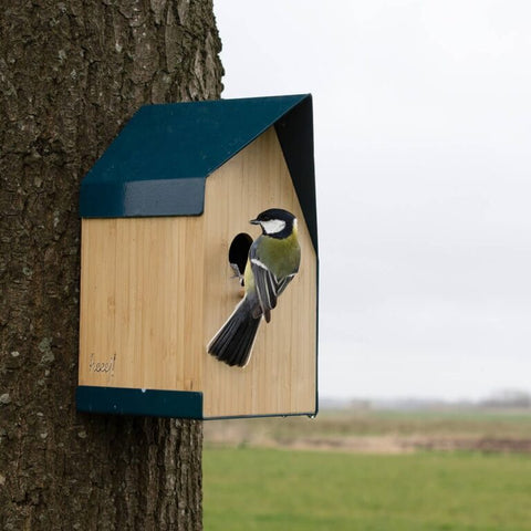 Vogel huisje - happy bird house