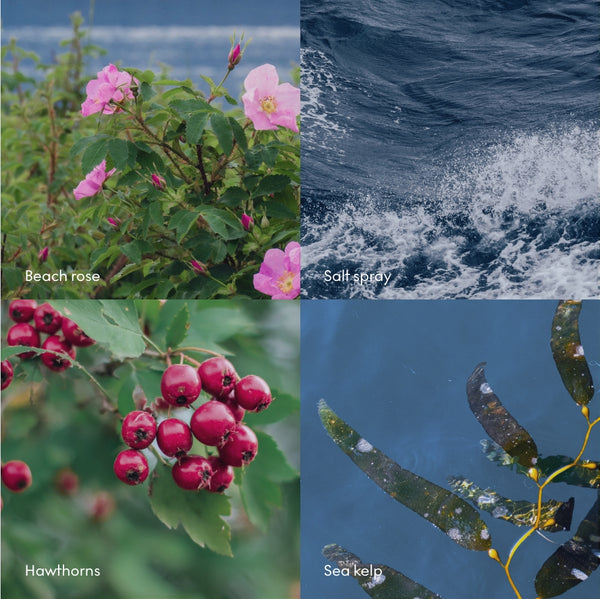 Zeep - HAV - hand/lichaam