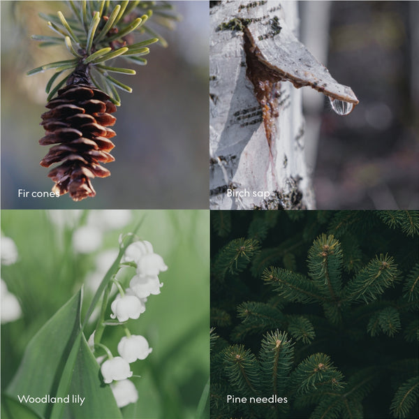 Zeep - SKOG - hand/lichaam