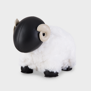 Zuny - Schaap