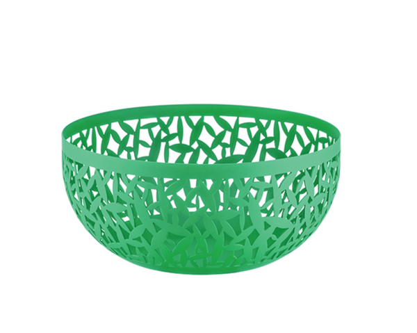 Schaal cactus - groen