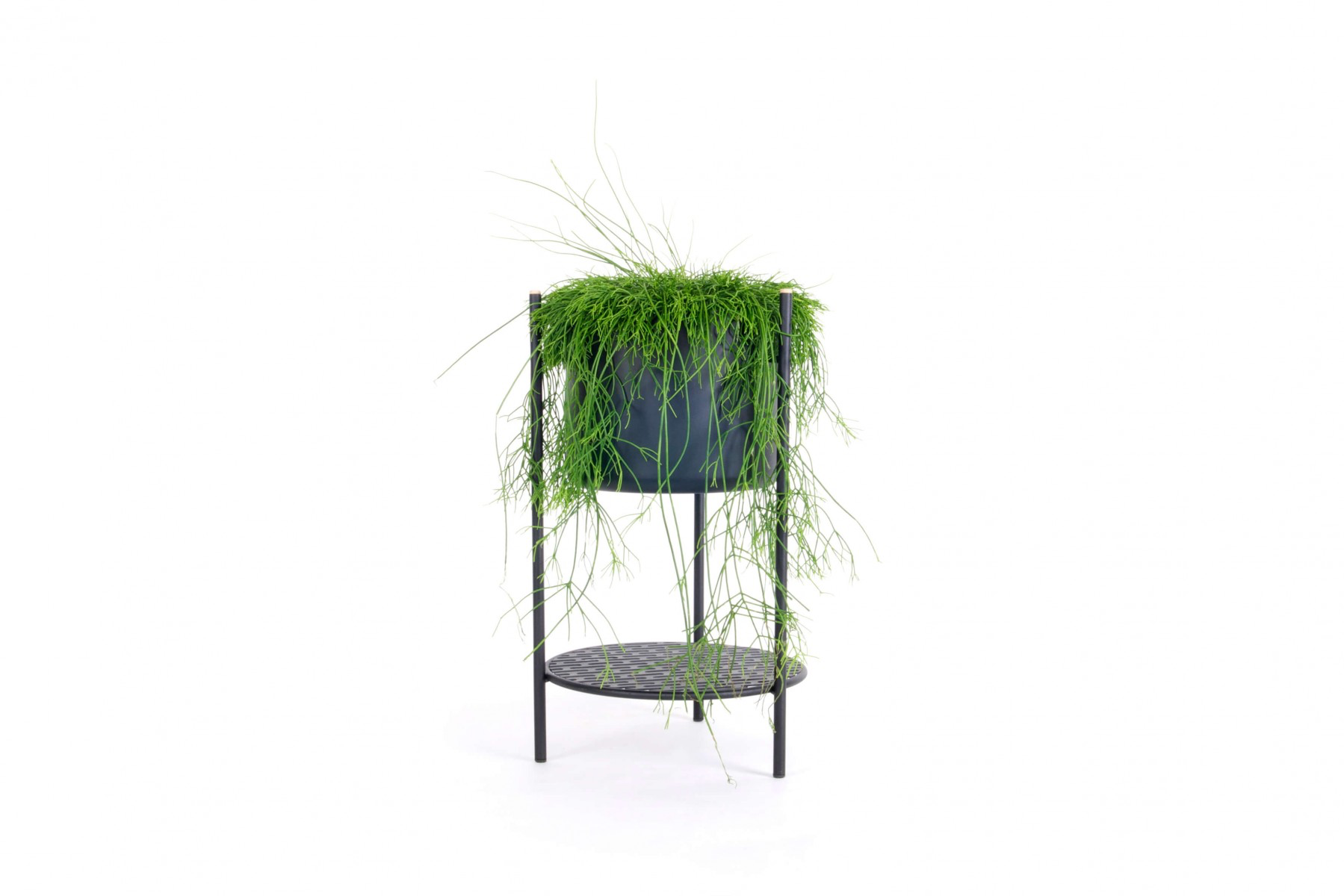 Ent - plantenpot zwart