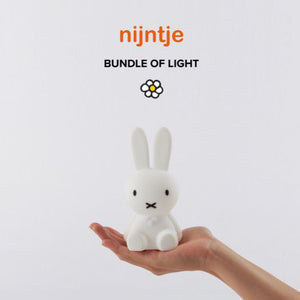 Nachtlampje - Nijntje mini, bundle of light