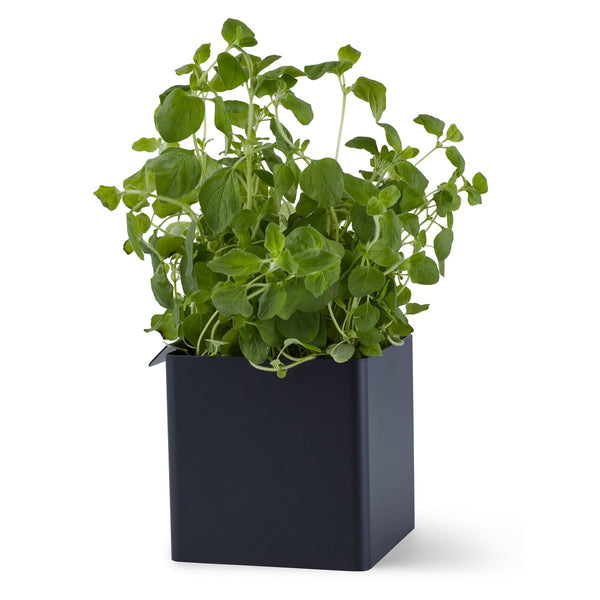 Flex box small - zwart